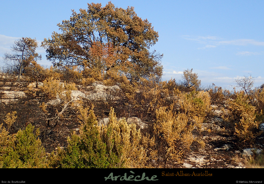 20170721_40