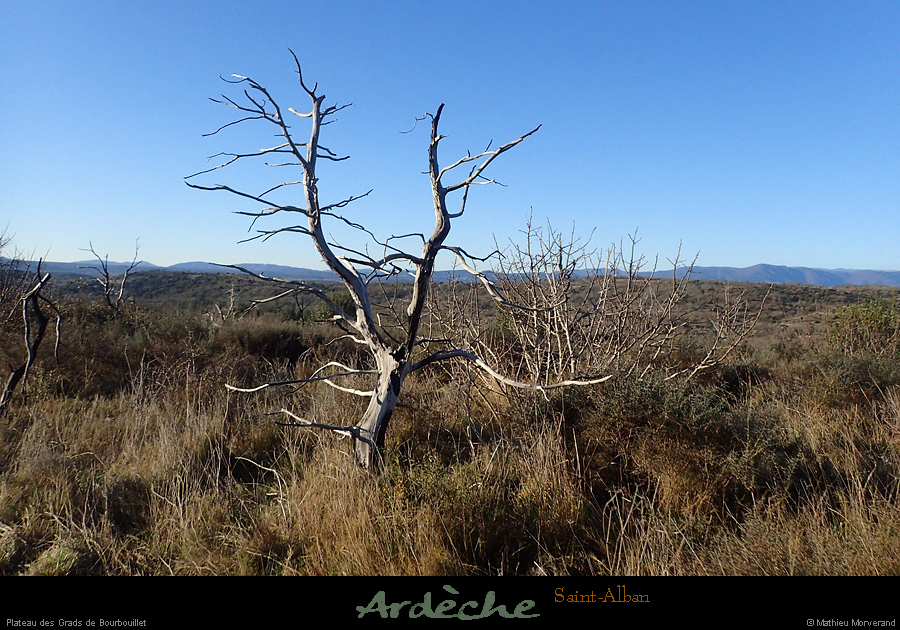 20250112_107