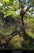 20161002_bourbouilletpresresurgence