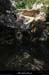 20161002_bourbouilletresurgencegrotte3