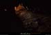 20161002_bourbouilletresurgencegrotte6