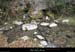 20161113_bourbouilletresurg01