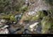 20161113_bourbouilletresurg03