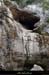 20161113_bourbouilletresurg04