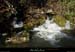 20161127_bourbouillet_resurg1