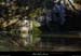 20161127_bourbouillet_resurg3