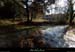 20161127_bourbouillet_ruisseau2