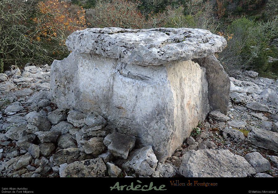 20161127_stalban_ftmejane_dolmenmilieu1