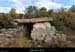 20161113_dolmenfontgraze07