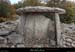 20161113_dolmenfontgrazeb02