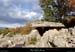 20161113_dolmenfontgrazec05