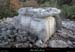 20161127_stalban_ftmejane_dolmenmilieu1