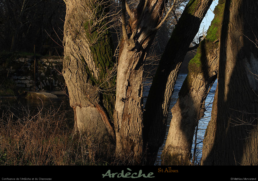 20121223_stalban_confluenceardechechassezac1