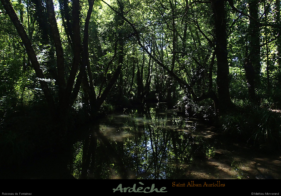 20140817_stalbanruisseau