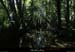 20140817_stalbanruisseau