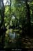 20150516_stalban_ruisseaufontaines