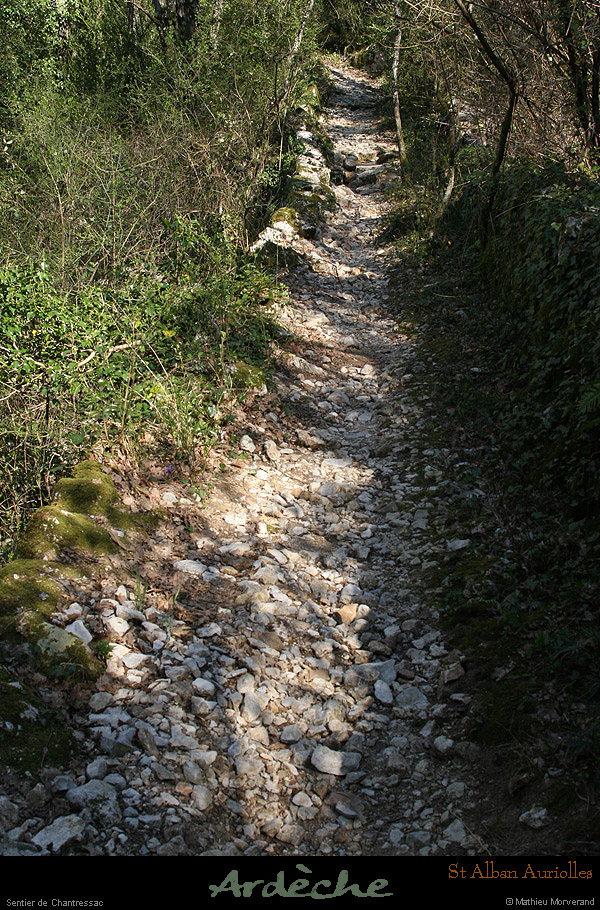 20090322_stalbanchantressacsentier2