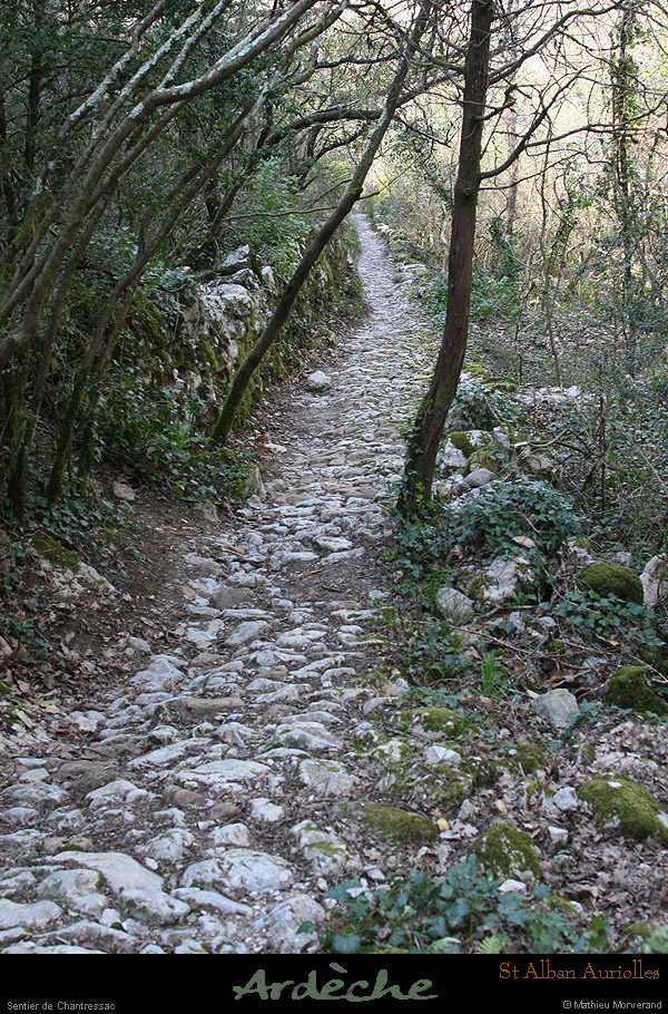 20090322_stalbanchantressacsentier3
