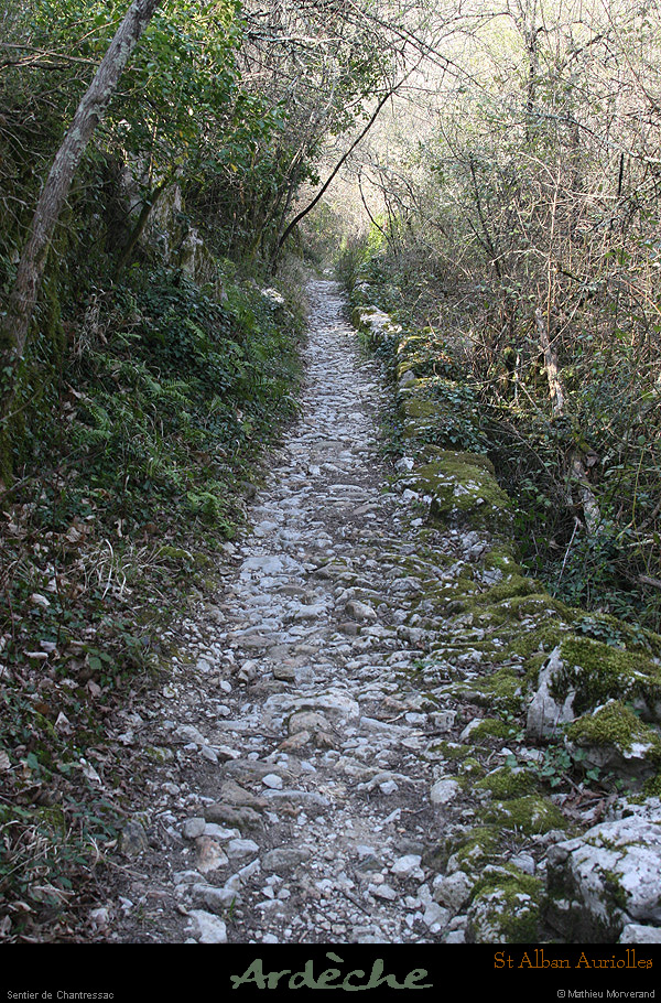 20090322_stalbanchantressacsentier4