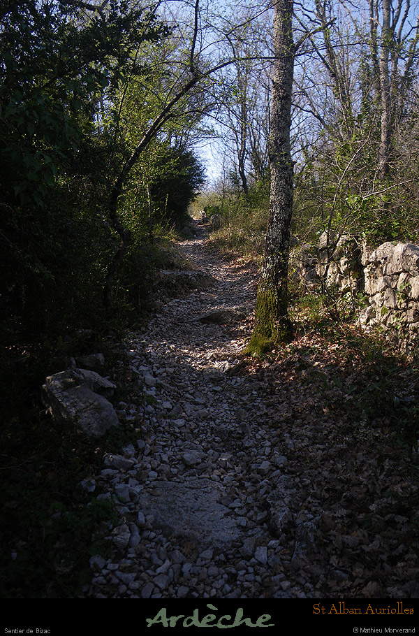 20090322_stalbansentierbizac2