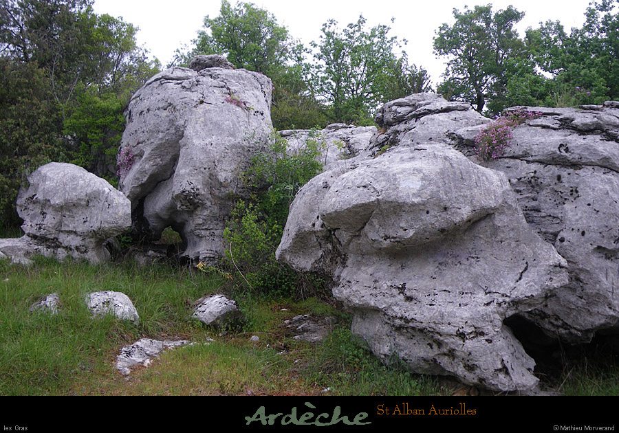 20100502_boisdestalban