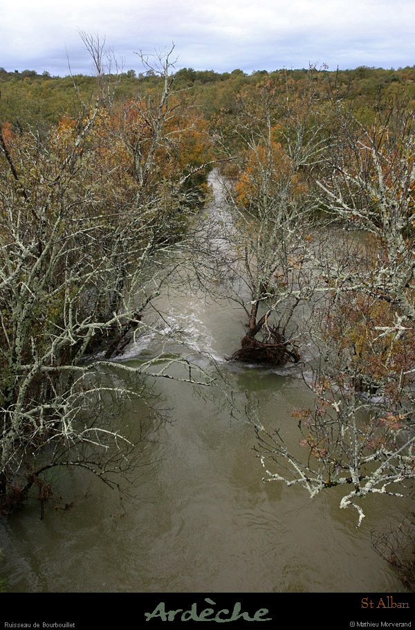 20101031_stalban_ruisseaudebourbouillet3
