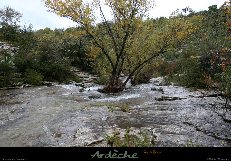 20101031_stalban_ruisseaudefontgraze4