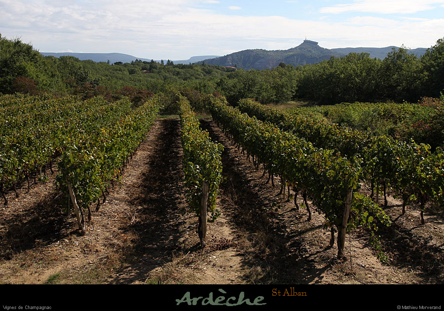 20120930_stalban_vignesdechampagnac