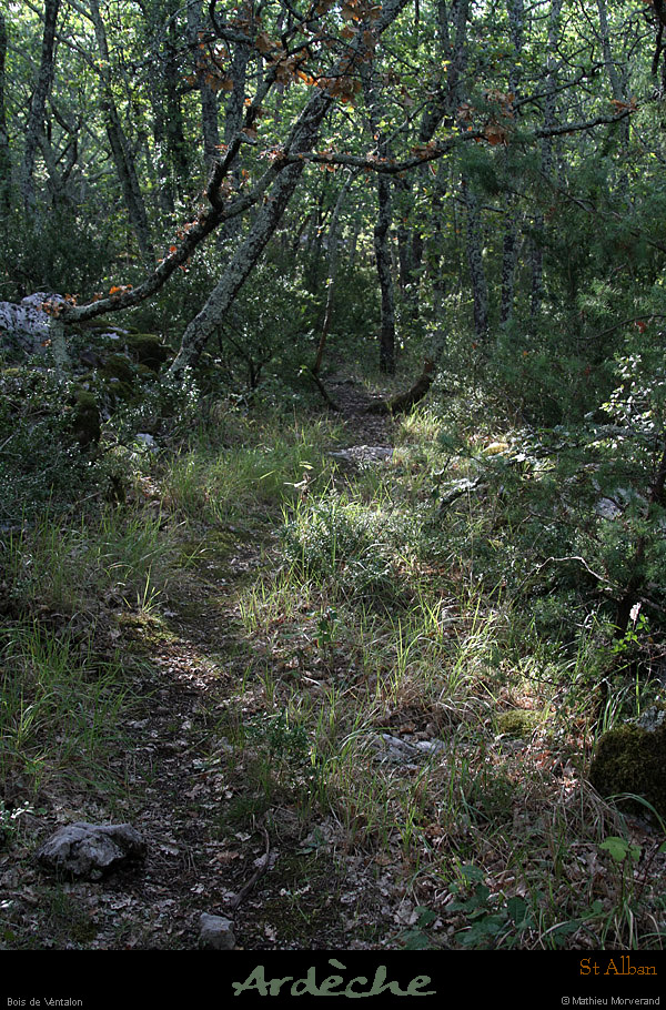 20121007_stalban_boisdeventalon_sentier