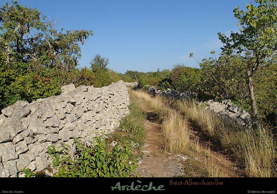 20140907_055
