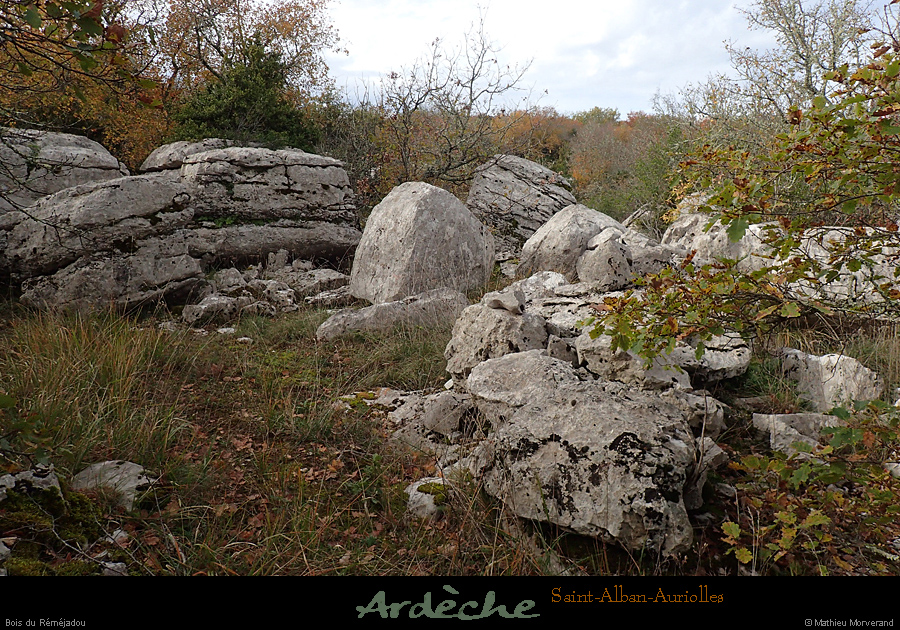 20161113_boisremejadou1