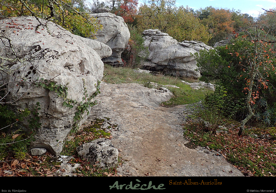 20161113_boisremejadou2