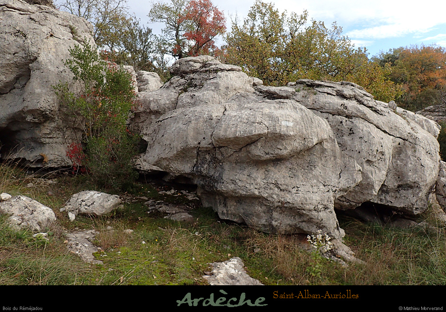20161113_boisremejadou3