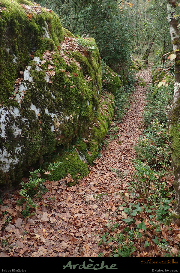 20161113_sentierremejadou1