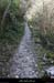 20090322_stalbanchantressacsentier4