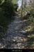 20090322_stalbansentierbizac1