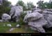 20100502_boisdestalban