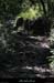 20120930_stalban_caladedelabeaume3