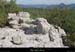 20121007_stalban_boisdeventalon_chaos01