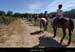 20130901_stalban_auriolles_plainedelisle_equitation