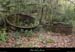 20161113_boisblachere7