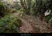 20161113_sentierremejadou2