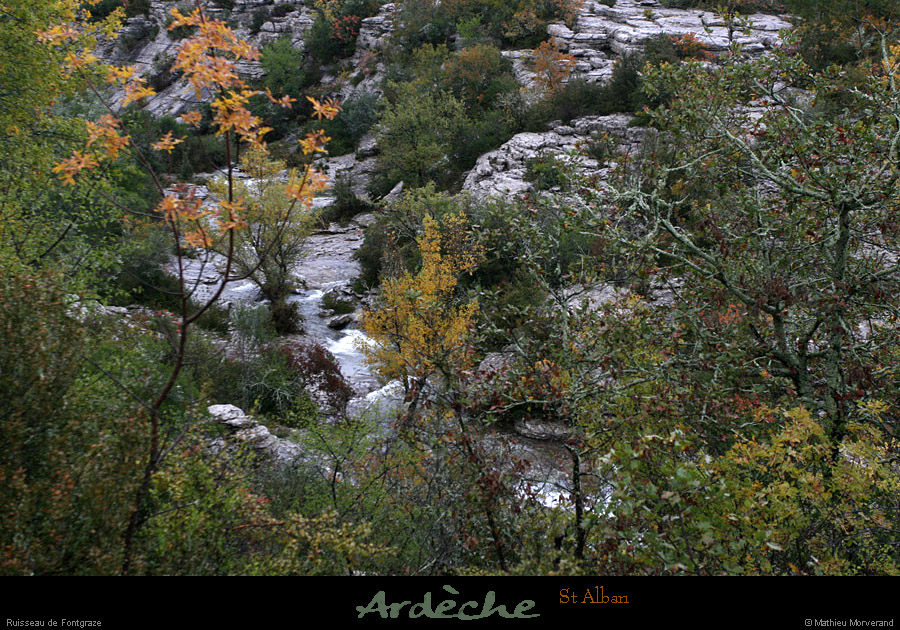 20101031_stalban_ruisseaudefontgraze1