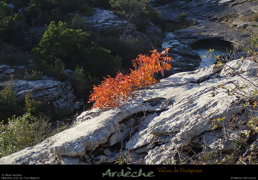 20161127_stalban_ftmejane_vallonfontgraze2