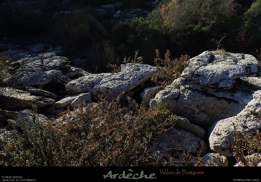 20161127_stalban_ftmejane_vallonfontgraze3