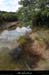 20161002_ruisseaufontgraze2