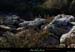 20161127_stalban_ftmejane_vallonfontgraze3