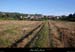 20100829_stalban