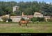 20210817_stalban