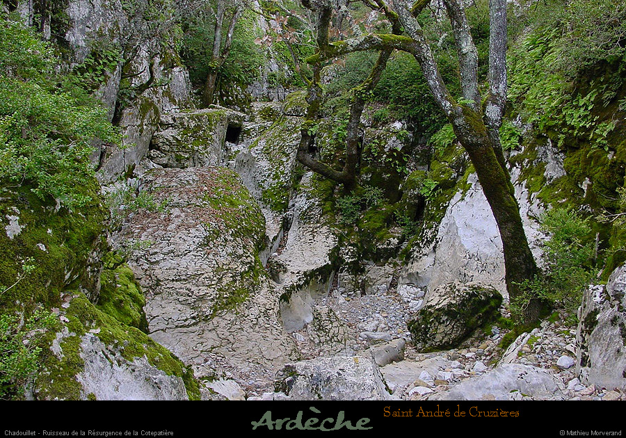 20020209_cotepatiere_ruisseauasec_2